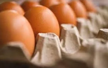 Bőséges a tojáskínálat