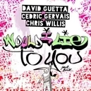 Would I Lie To You - David Guetta / Cedric Gervais / Chris Willis