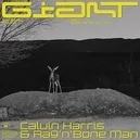 Giant - Calvin Harris / Rag N Bone Man