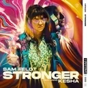 Stronger - Sam Feldt / Kesha