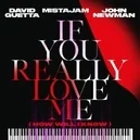 If You Really Love Me (How Will I Know) - John Newman / MistaJam / David Guetta